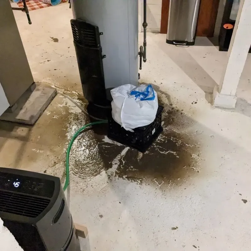 Sewage Backup Cleanup Service in Rock Creek, AL